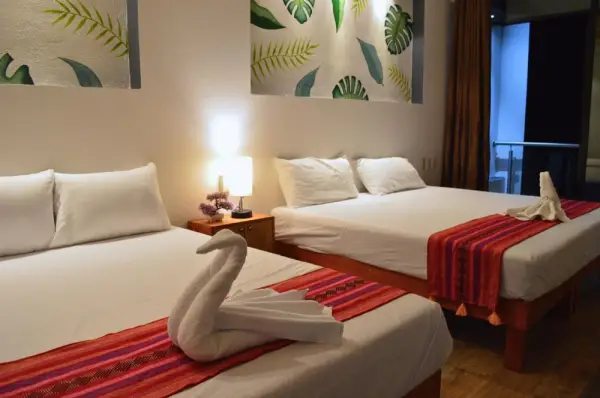 Hotel Axolotl 4