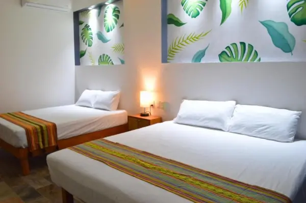 Hotel Axolotl 5