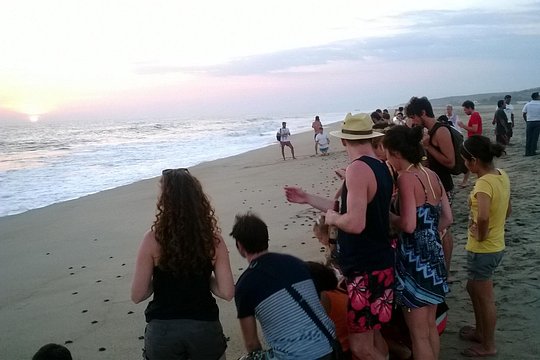 Tour image 2