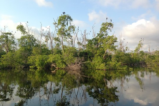 Tour image 7