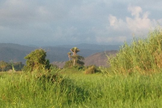 Tour image 8