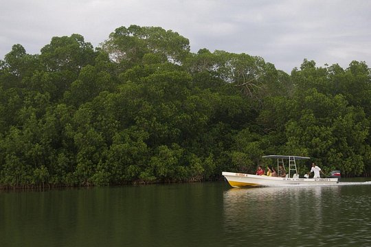 Tour image 2