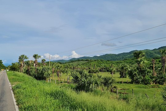 Tour image 6