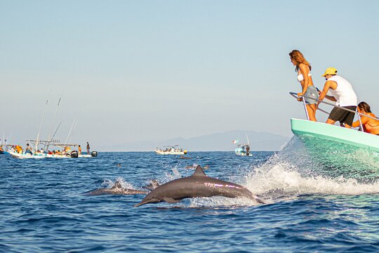 Tour image 1