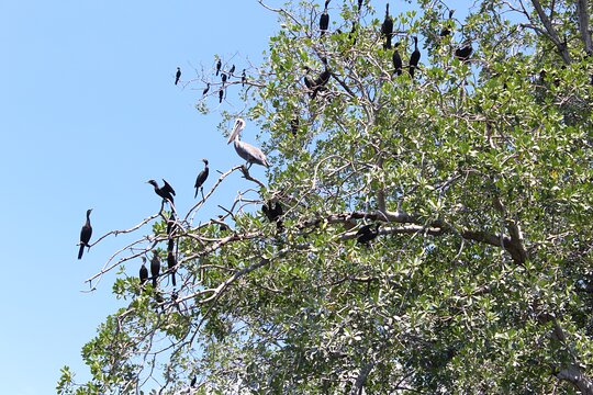 Tour image 5