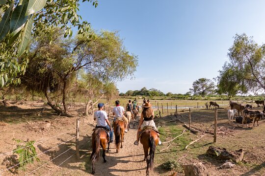 Tour image 2