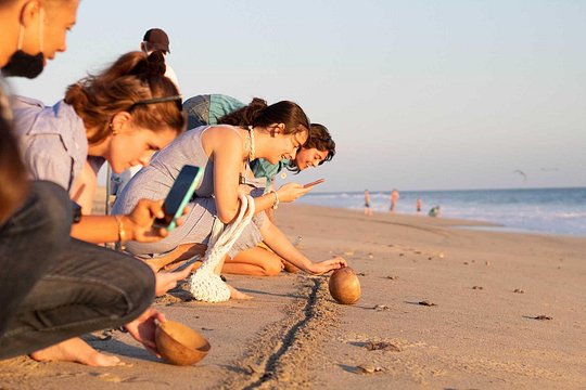 Tour image 3