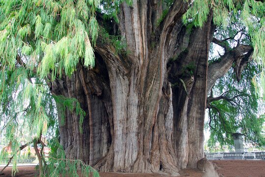 Tour image 14